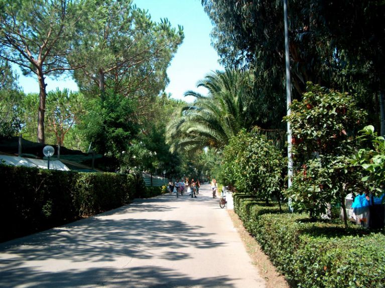 un viale